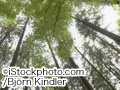 iStock_000001646277Large.jpg