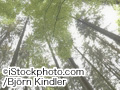 iStock_000001646277Large.jpg